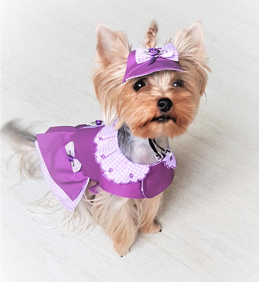 Dog dress XS Girl dog dress Small dog clothing Yorkie clothes Etsy