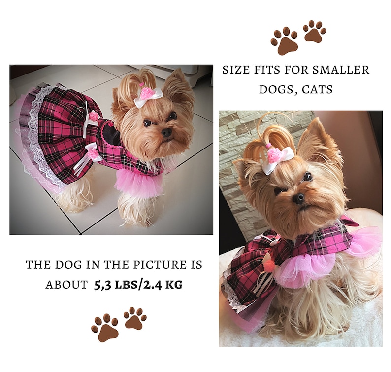 May include: A small dog wearing a pink and black plaid dress with a pink tulle skirt and white lace trim. The dog is about 5.3 lbs or 2.4 kg. The text "SIZE FITS FOR SMALLER DOGS, CATS" is at the top of the image.