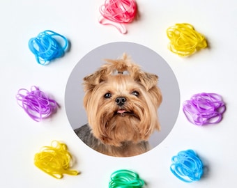 Colorful Bands for Dog Hair Bands Dog Grooming Elastic Dog  display picture 1