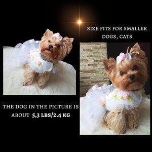 Dog wedding dress Dog clothes small Dog sewing pattern PDF dog clothes Pattern dog clothes Dog dress small Dog wedding fashion Dog dress PDF image 8