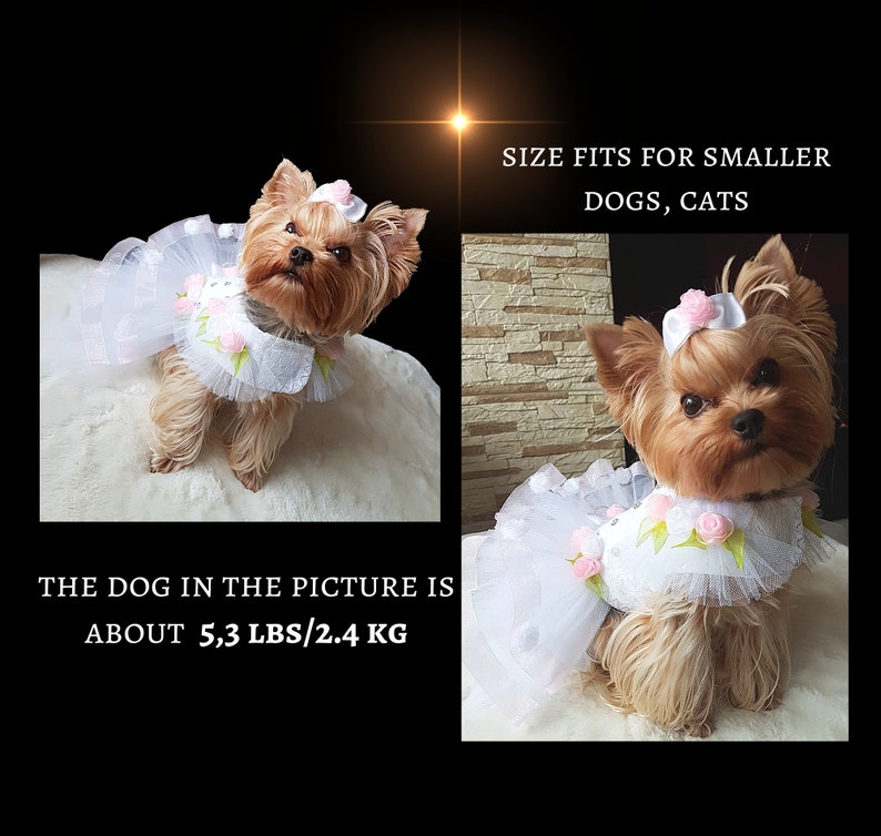 Dog wedding dress Dog clothes small Dog sewing pattern PDF dog clothes Pattern dog clothes Dog dress small Dog wedding fashion Dog dress PDF image 8