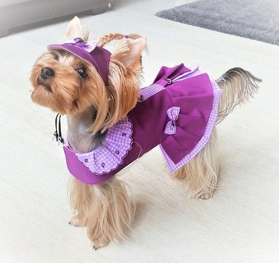 Dog dress XS Girl dog dress Small dog clothing Yorkie clothes Etsy
