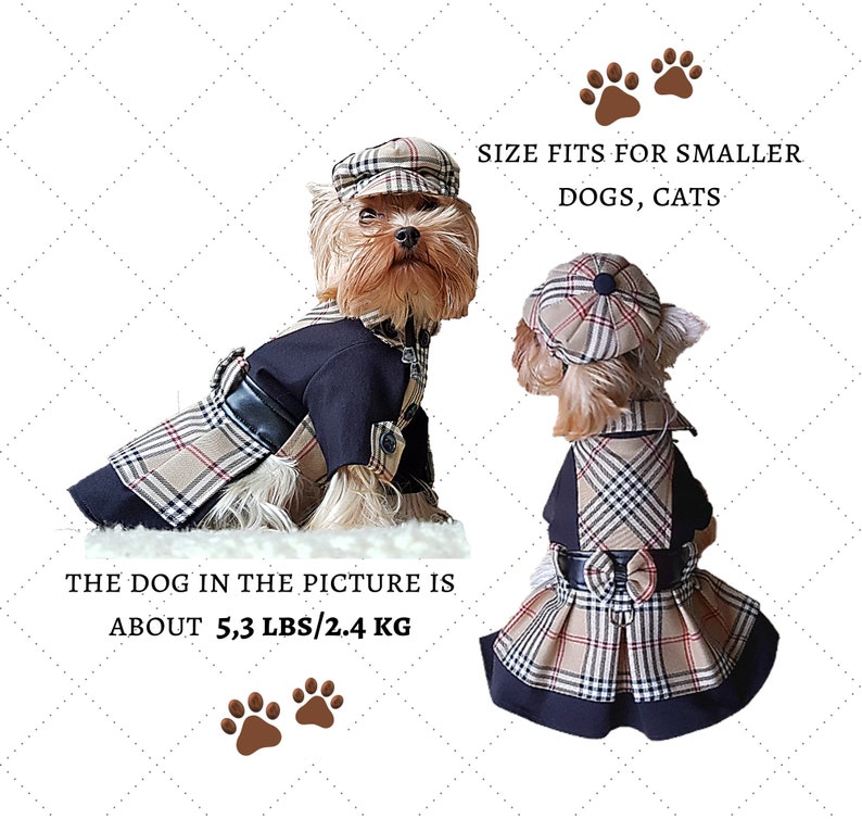 Dog clothes Coat sewing patterns for small dogs PDF dog clothes small Dog coat pattern Small dog fashion pdf pattern for dog coat sewing PDF image 8