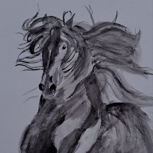 watercolor the black horse