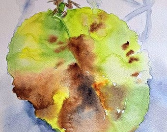 aquarelle la petite grenouille sur la feuille de nénuphar