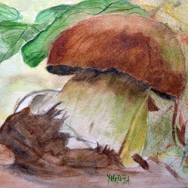 aquarelle Le champignon en automne , le bolet marron