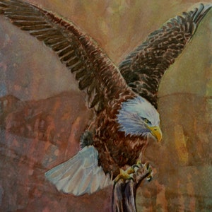 watercolor an eagle in flight