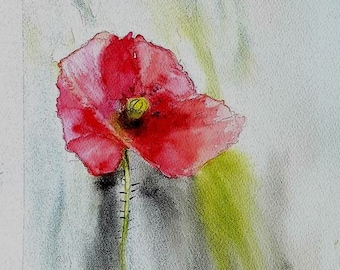 watercolor, a poppy a flower in a field