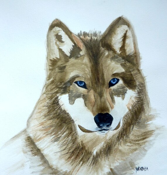Aquarelle Une Belle Tete De Loup Etsy Aquarelle Une Belle Tete De Loup Etsy
