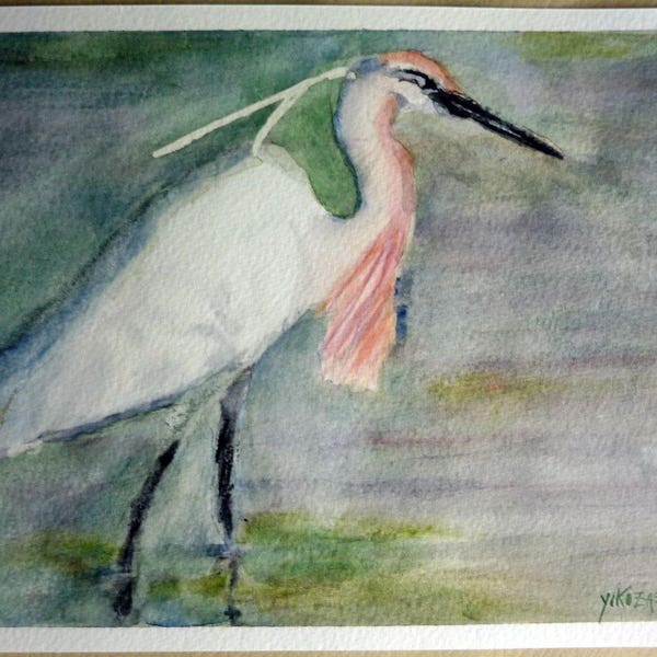 aquarelle une aigrette , un oiseau