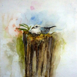 aquarel de meeuw in het gezellige nest