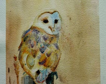 the barn owl or white lady