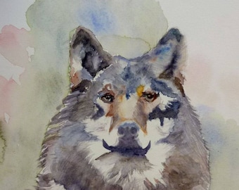 aquarelle le loup