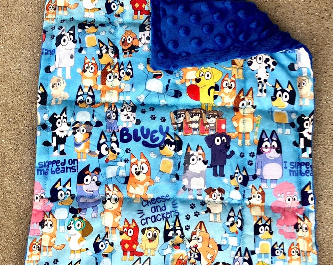 Bluey and Friends With Minky Fabric. 12X18 Weighted and None Weighted