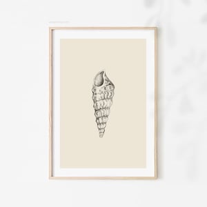 Seashell Sketch, Gray Beige Print, Seashell Drawing, Printable Nature Art, Seashell Illustration, Netural Seaside Decor, Digital Download