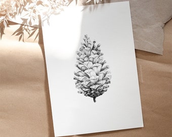 Pinecone Print, Botanical Print, Pencil Drawing Scots Pine Cone, Printable Modern Rustic Black White Minimal Illustration, Digital Download