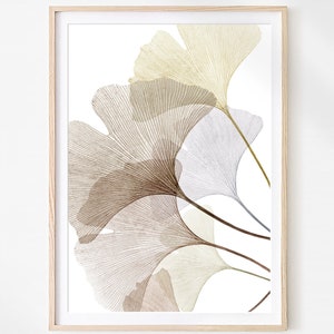 May include: A framed print of a botanical illustration featuring delicate, translucent ginkgo leaves in shades of brown, beige, and gray against a white background. The leaves are arranged in a cascading pattern, creating a sense of movement and organic beauty.