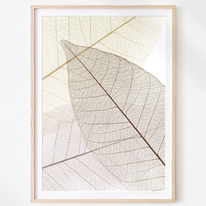 Brown Leaf Skeleton Print: Modern Botanical Wall Art (Digital Download)