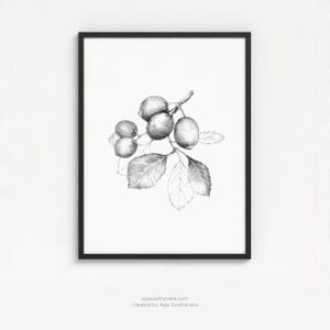 Lemon Fruit Pencil Drawing Digital Download Botanical Wall Art, Hand Drawn Plant Sketch with Leaves Printable Illustration | Aga Szafranska