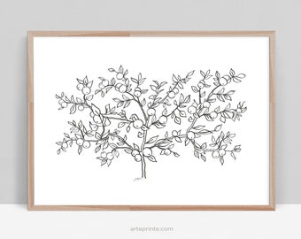 May include: A black and white line drawing of a tree with many branches and leaves. The tree is full of small circles, representing fruit. The drawing is simple and elegant.