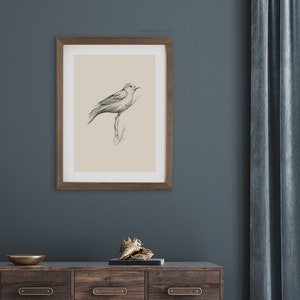 Printable Bird Illustration Beige Gray Sketch Graphite Bird - Etsy