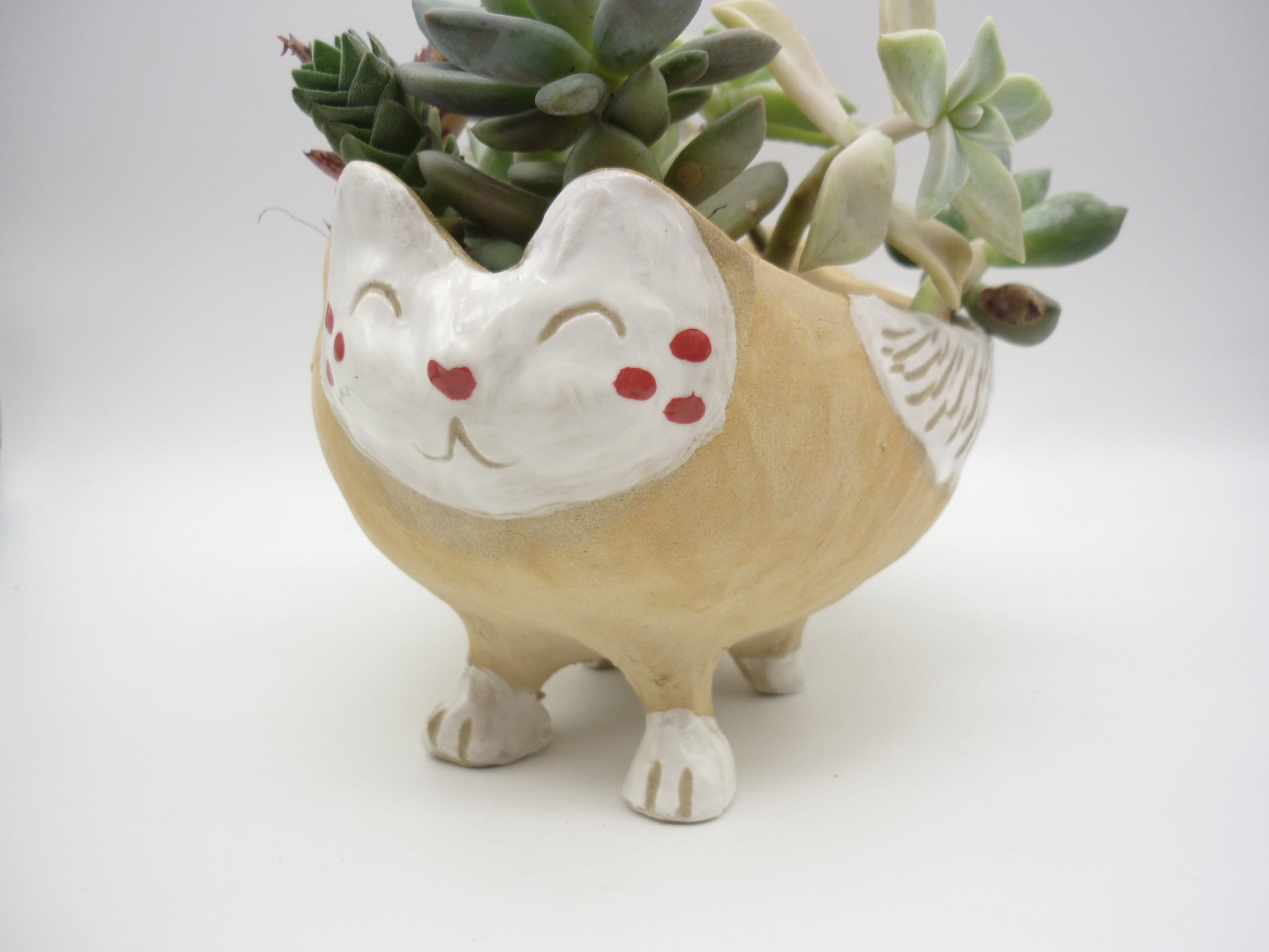 Chat Pot, Animal Kawai, Composition Succulentes, Jardinière Pour Plantes Intérieures ou Extérieures,