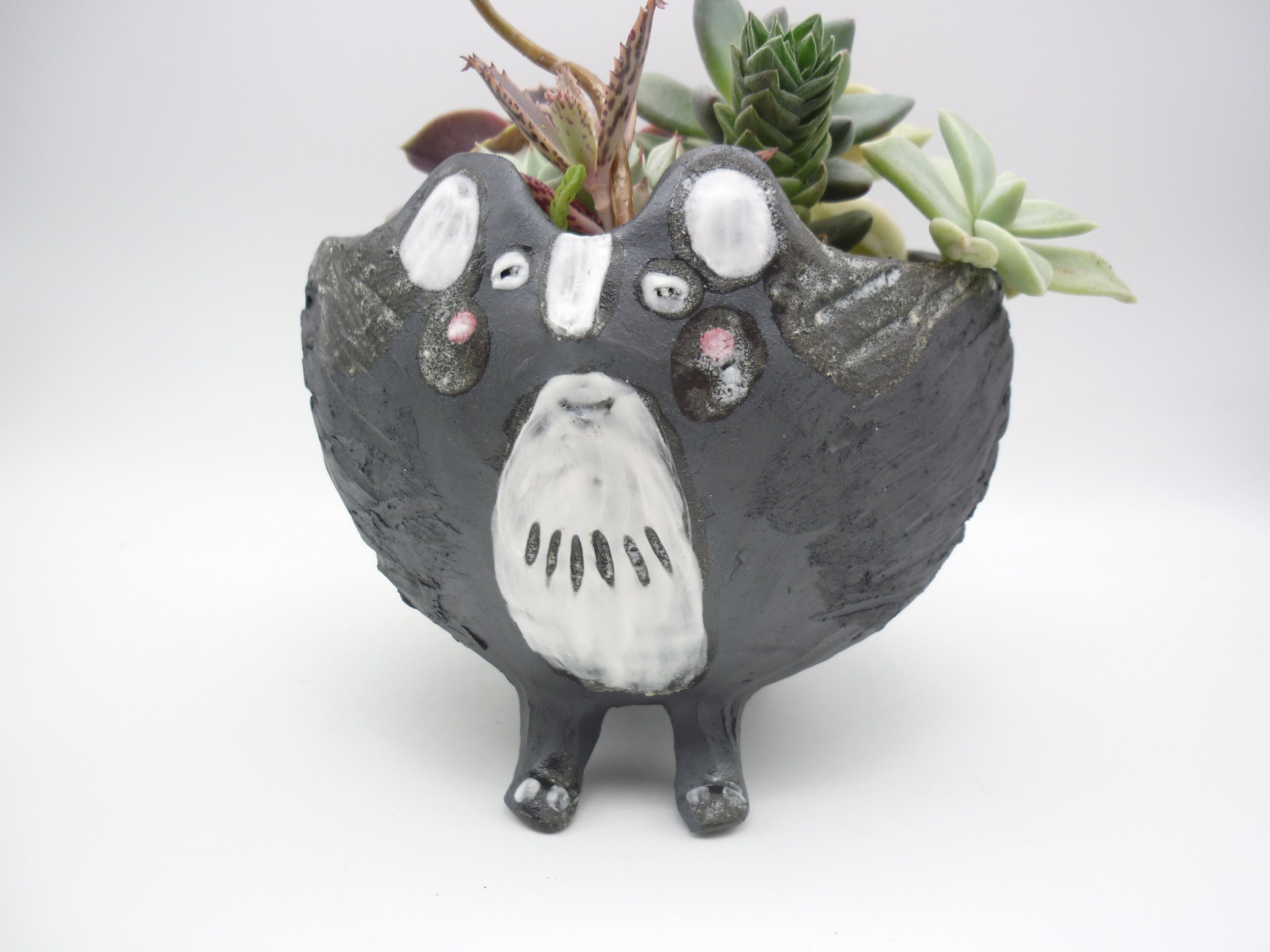 Bestiole Pot, Animal Kawai, Composition Succulentes, Jardinière Pour Plantes Intérieures ou Extérieu