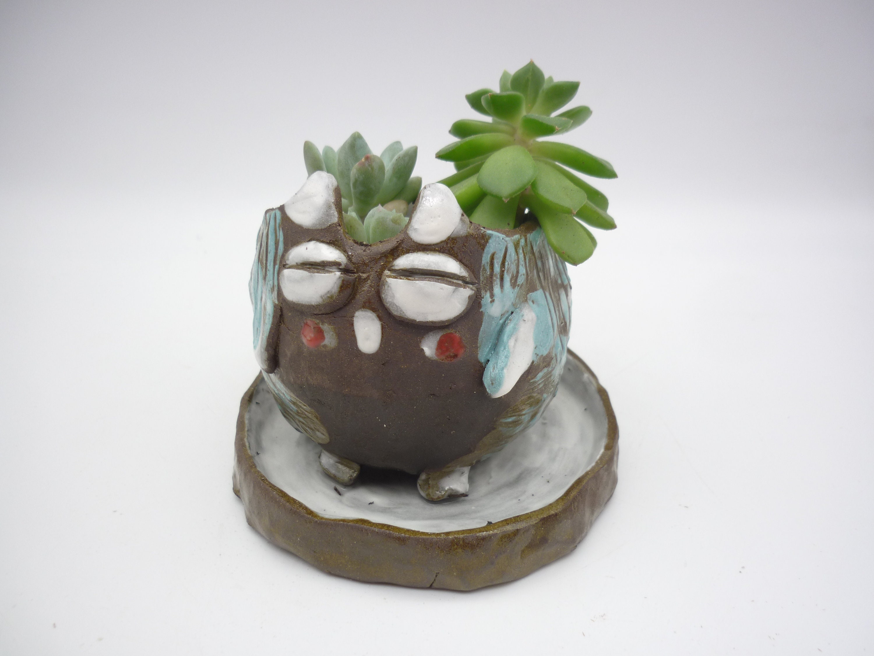 Petit Hibou et Sa Coupelle, Pot Animal Plante, Mini Jardinière Pour Jeune Pousses, Succulentes, Atel