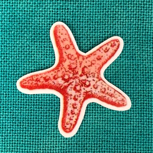 Starfish Needle Minder