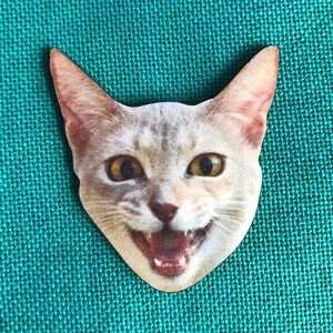 Hissing Cat | Wooden Needle Minder | Cover Minder