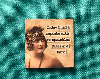 Diets are Hard | Wooden Needle Minder | Cover Minder