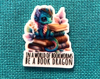 Libro Dragón / Needle Minder / Cover Minder