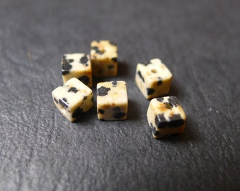 5 square cube beads Dalmatian jasper stone beige black 5mm