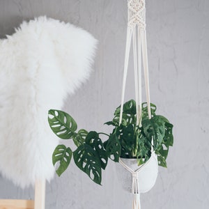 Puede incluir: Un macetero de macram&eacute; blanco con una borla blanca cuelga de un anillo de madera. Una planta monstera verde en una maceta de hormig&oacute;n blanco est&aacute; suspendida del macetero.
