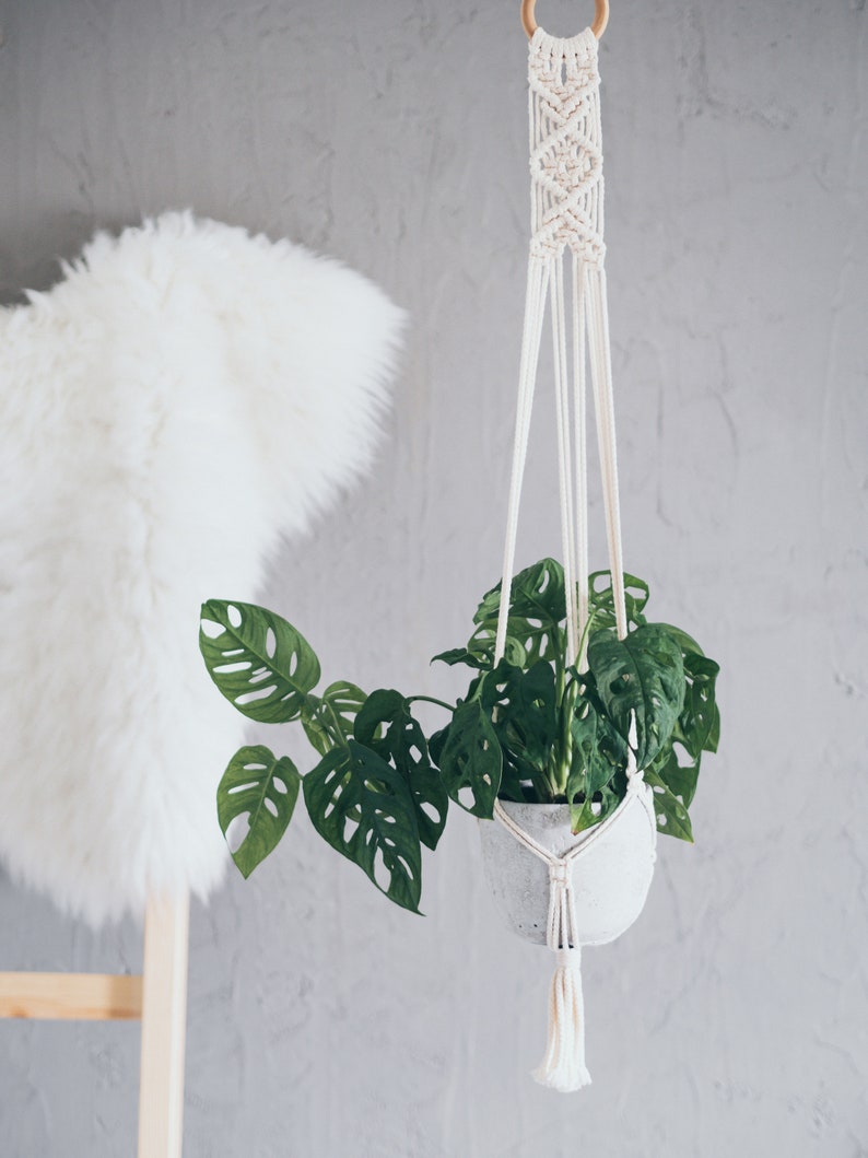 Puede incluir: Un macetero de macram&eacute; blanco con una borla blanca cuelga de un anillo de madera. Una planta monstera verde en una maceta de hormig&oacute;n blanco est&aacute; suspendida del macetero.