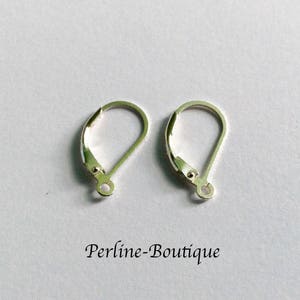 Könnte beinhalten: Zwei silberne Ohrhaken, auch Ohrdrähte genannt, werden auf weißem Hintergrund gezeigt. Die Haken sind aus Metall und haben ein schlichtes Design.