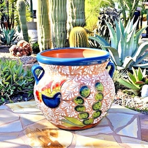 May include: A large, hand-painted ceramic planter with a blue rim and handles. The planter features a bird and cactus design in blue, yellow, and green on a cream and brown background. The planter is outdoors, surrounded by cacti and other plants.