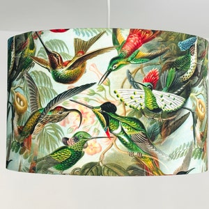 Hummingbird Lamp shade bird lamp cheese plant home decor arrow lampshade table lamp