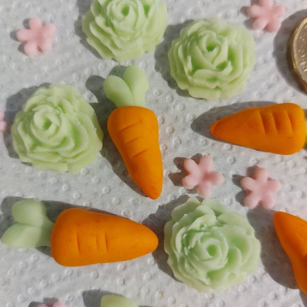 Edible Fondant Decorations for Peter Rabbit Theme for cup cakes/birthday cake decoration/sprinkles - VEGAN