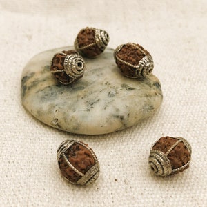 Lot of Ethnic Rudraksha Seed Beads-Nepal Tibet-Seeds-Beads of the World-Nepalmashop