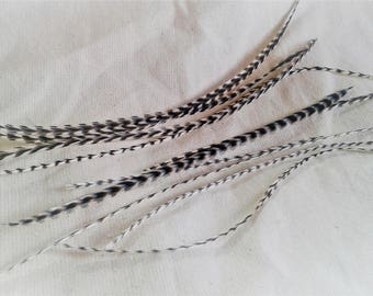 Lot of 10 feathers for hair-jewelry hair-jewelry feathers