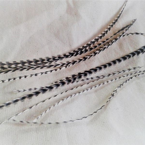 Lot of 10 feathers for hair-jewelry hair-jewelry feathers