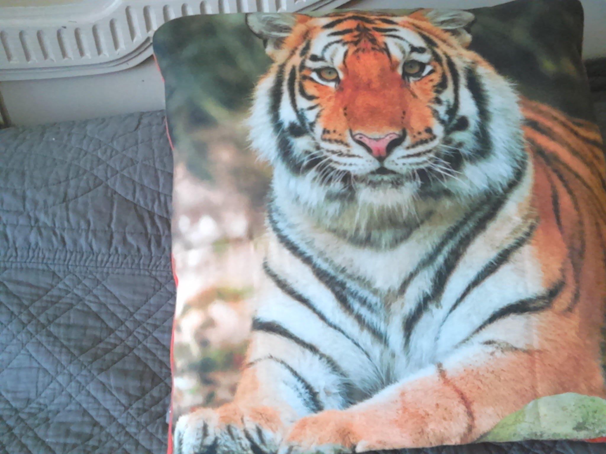 Coussin Magique La Couverture en Polaire, Douillette et Chaude, Une Fois Repliée Vous Donne Un Joli