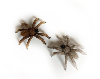 Little gray and brown wool felt spiders, 2 pieces handmade needle felted creepy halloween web decor spider.