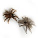 see more listings in the HALLOWEEN spider,bat section