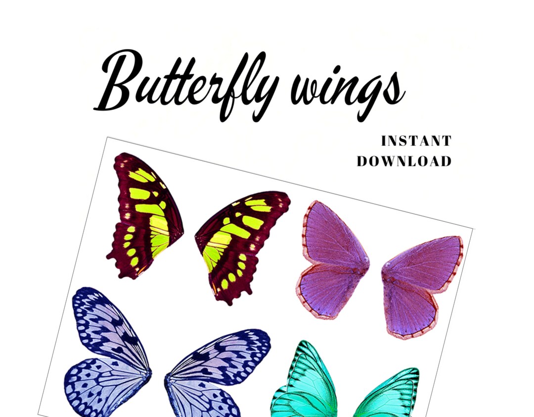 Printable Colored Butterfly Wings Collage Sheet to Handmade Dolls ...