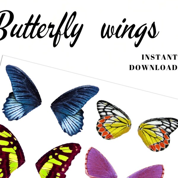 Butterfly Wings - Etsy
