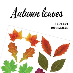 Durchscheinende Herbst Blätter Digital PNG Set - Schmuck, Karten, Kuchen, Wohnkultur - Instant Download