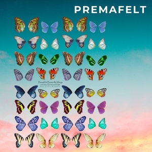 Printable Colored Butterfly Wings Collage Sheet to Handmade - Etsy