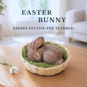 Schlafender Hase Nadelfilz-Anleitung PDF, Osterhase-Muster, Anfänger-Wollanleitung
